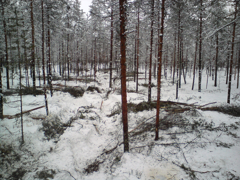 Klikkaa kuvaa nähdäksesi se täysikokoisena