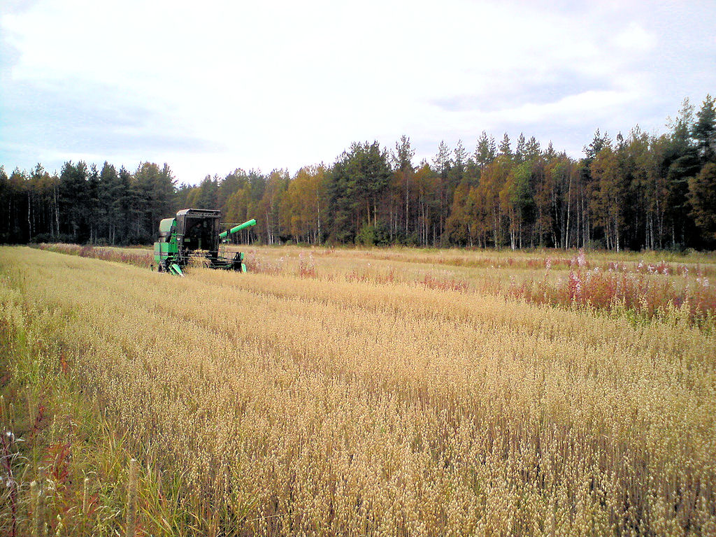 Klikkaa kuvaa nähdäksesi se täysikokoisena