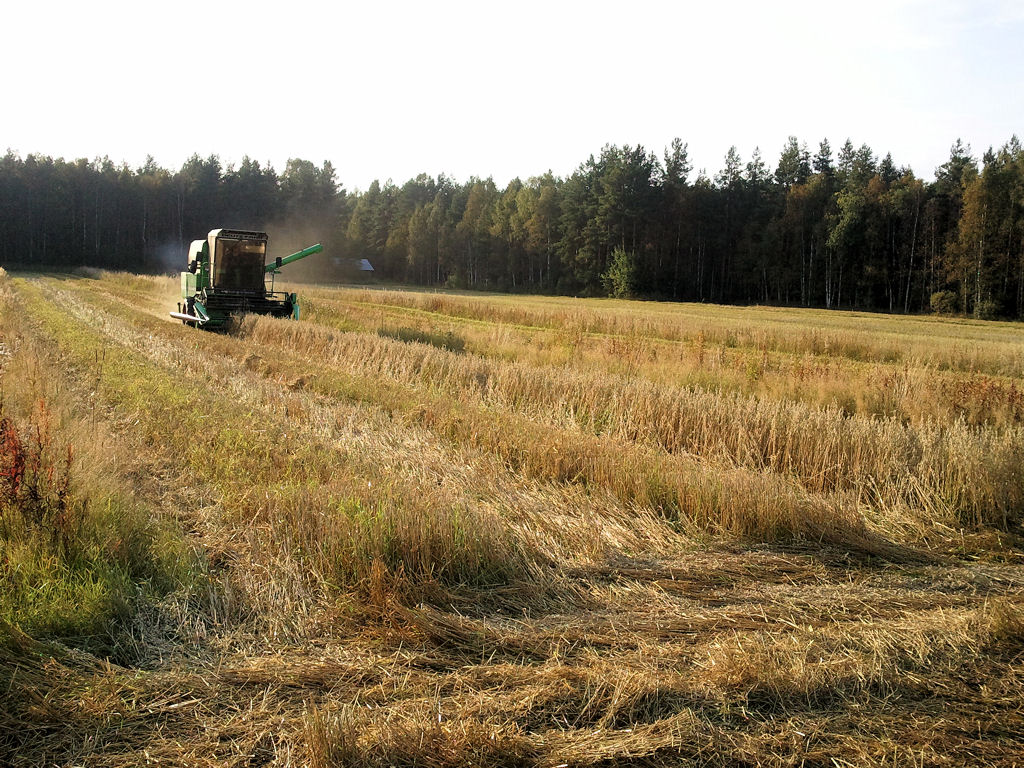 Klikkaa kuvaa nähdäksesi se täysikokoisena