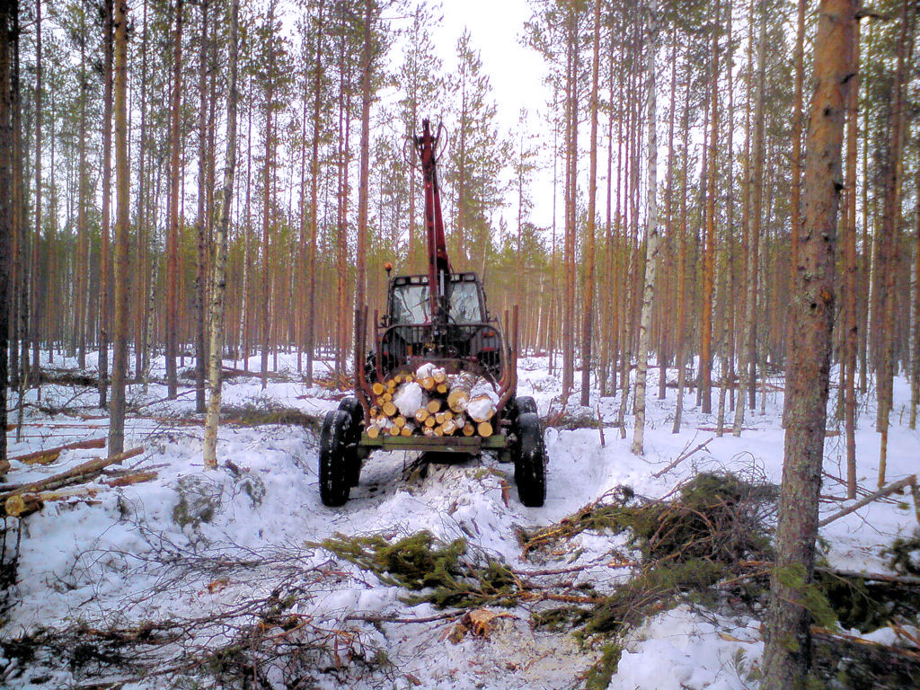 Klikkaa kuvaa nähdäksesi se täysikokoisena