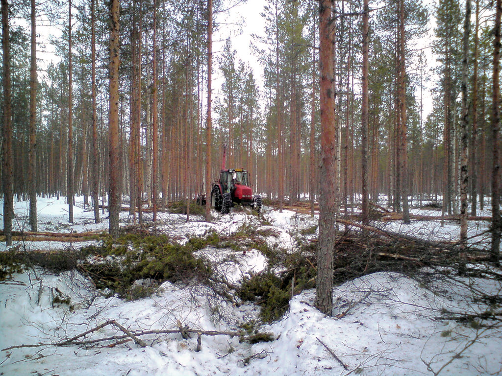 Klikkaa kuvaa nähdäksesi se täysikokoisena