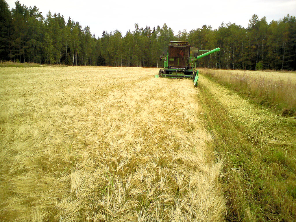 Klikkaa kuvaa nähdäksesi se täysikokoisena