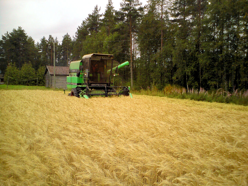 Klikkaa kuvaa nähdäksesi se täysikokoisena