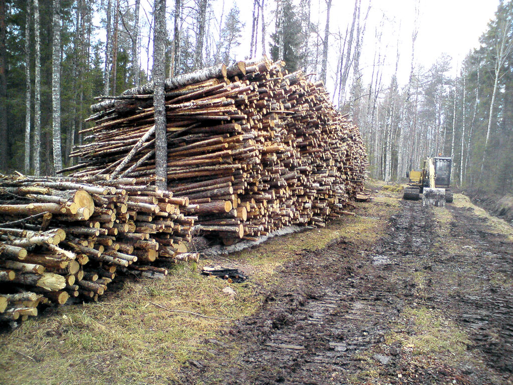 Klikkaa kuvaa nähdäksesi se täysikokoisena