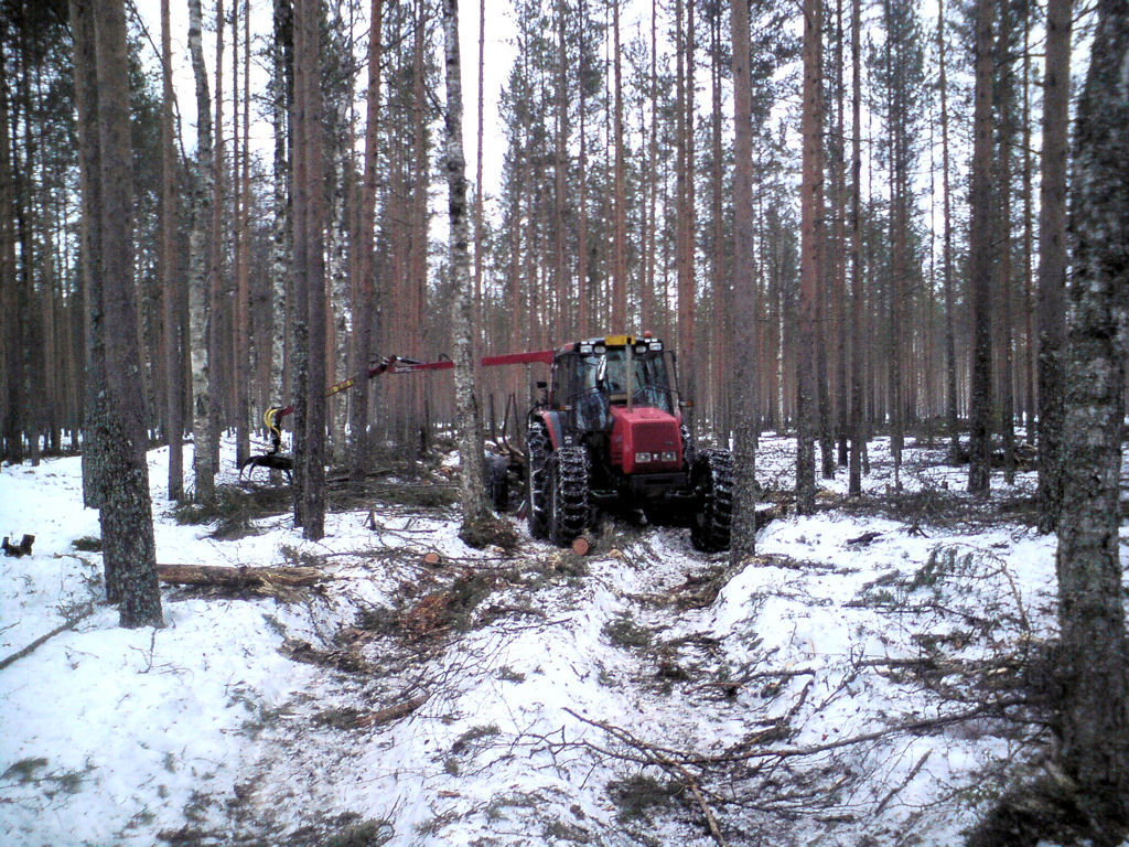 Klikkaa kuvaa nähdäksesi se täysikokoisena