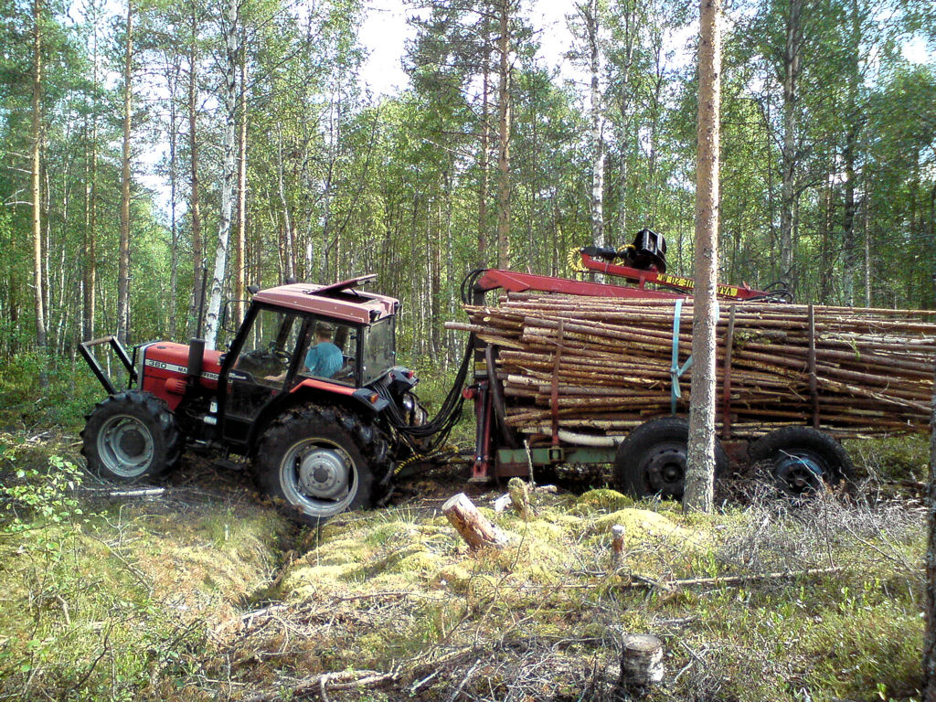 Klikkaa kuvaa nähdäksesi se täysikokoisena